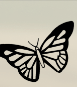 Symbol B6