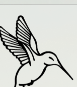 Symbol C2