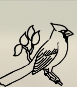 Symbol C6