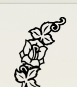 Symbol E3